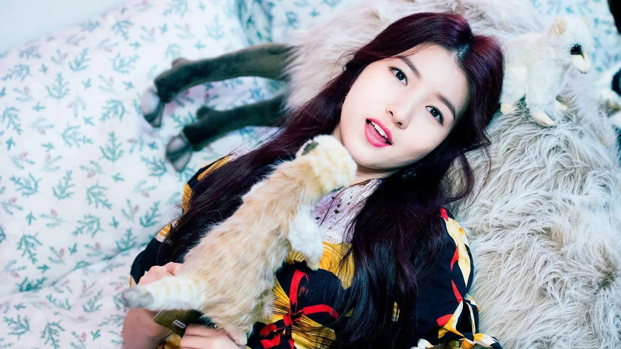 SOWON Gameplay Screenshot